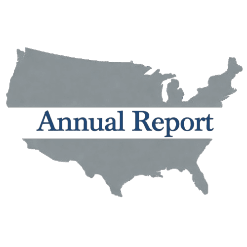 Business Annual Report Filing